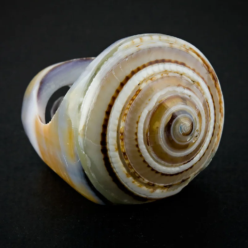 Luxury Jewelry Without The Luxury Price Tag Seashell Ring - Purple Sand Spiral