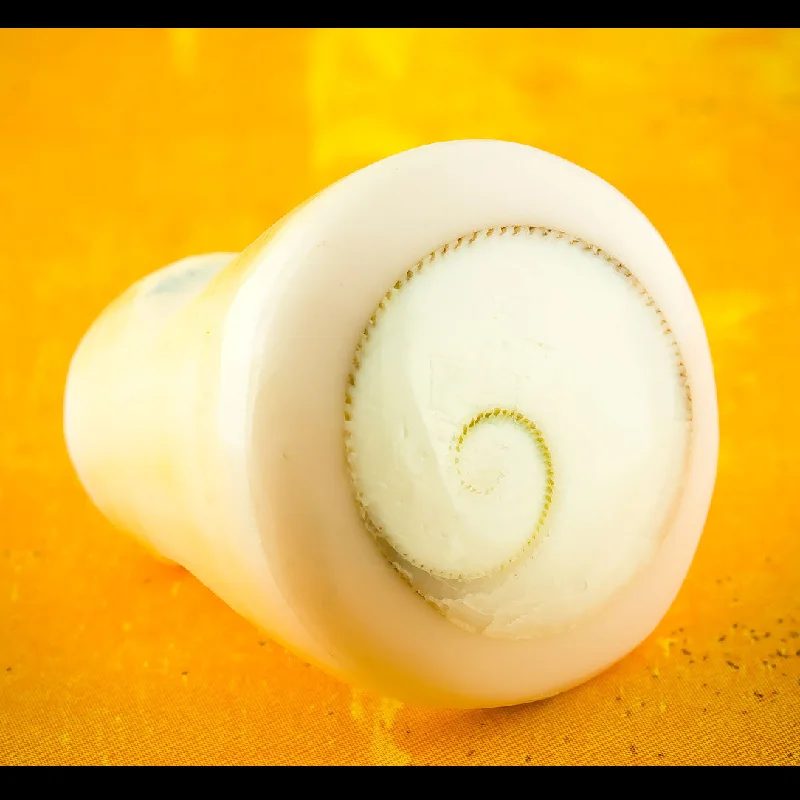 Elegant Necklaces And Bracelets At Limited-Time Offers White Seashell Ring - Shiva Eye Elegant Necklaces And Bracelets At Limited-Time Offers White Seashell Ring - Shiva Eye