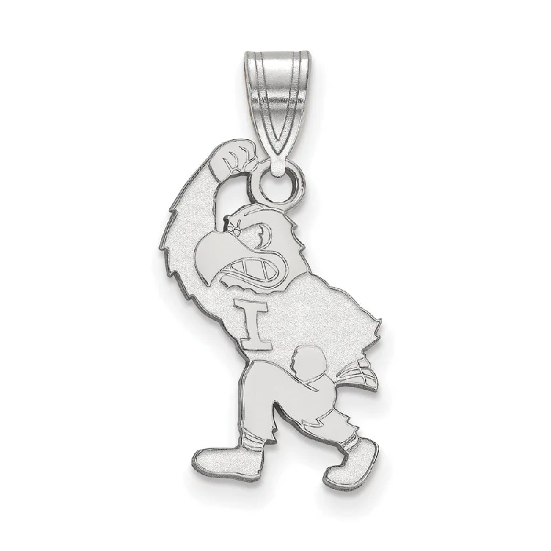 Upgrade Your Jewelry Collection For Less Sterling Silver U. of Iowa Large Pendant